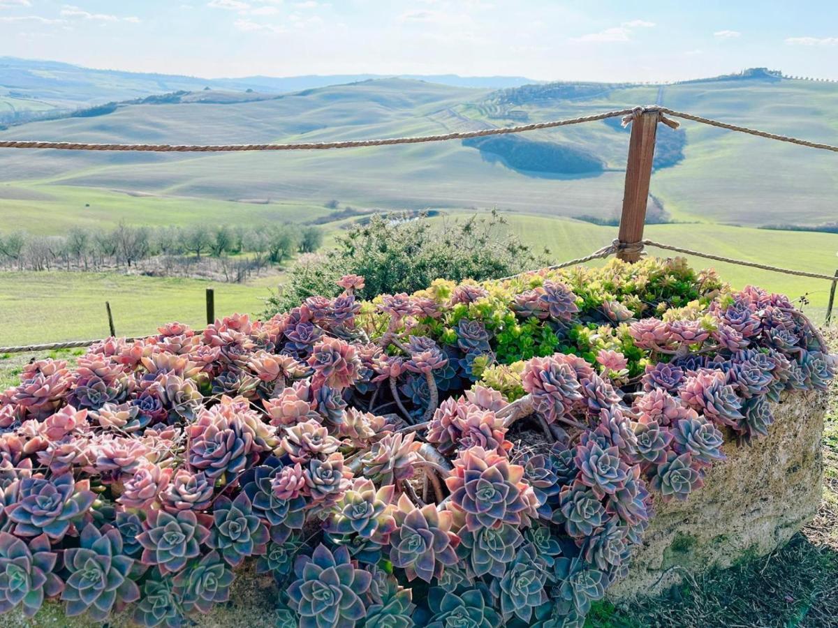 Poggiosalto In Toscana 皮恩扎 外观 照片
