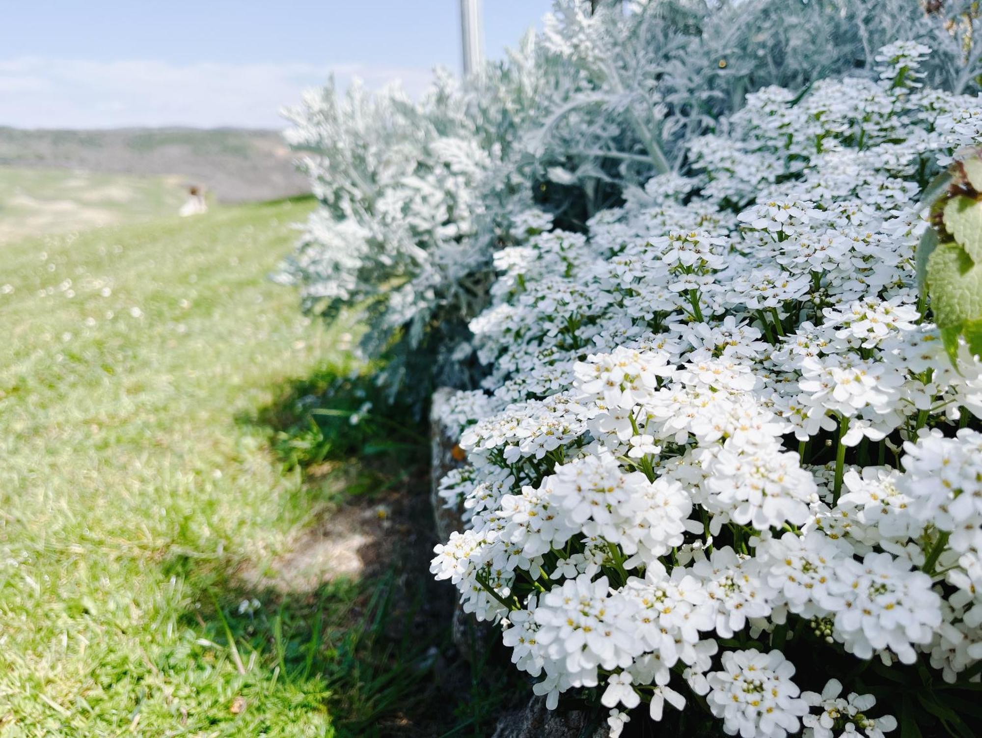 皮恩扎Podere Poggio Salto公寓 外观 照片